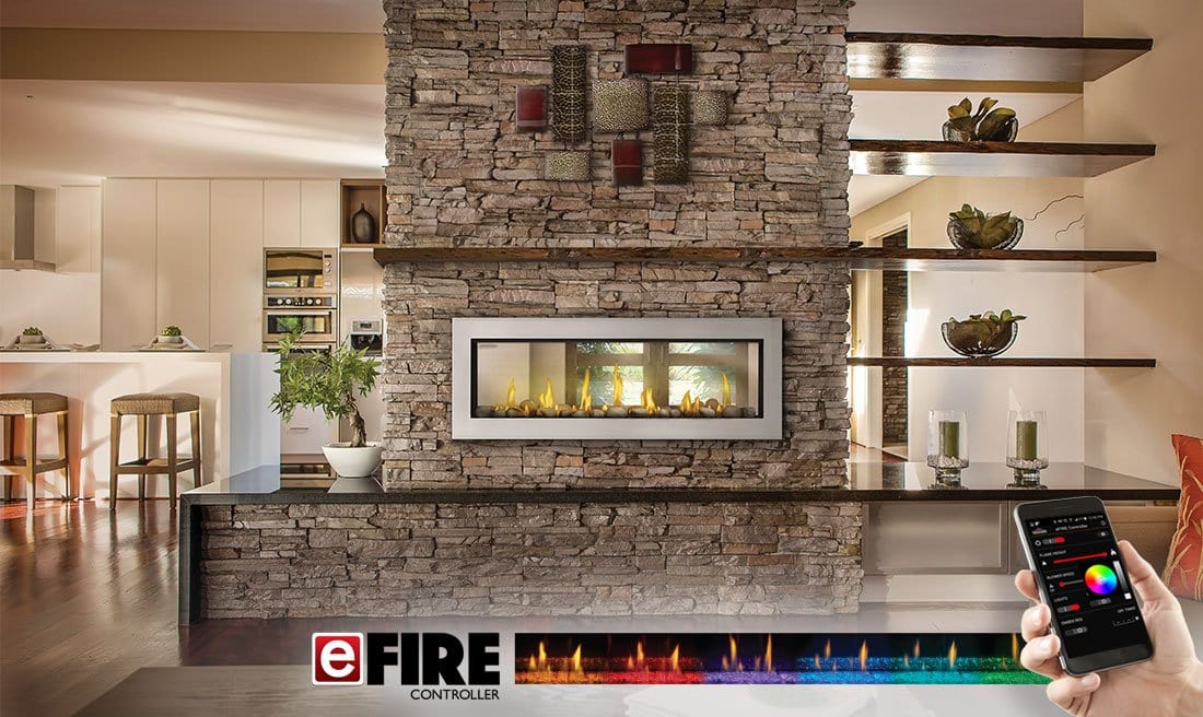 Napoleon Hearth 50" See-Thru Vector Direct Vent Gas Fireplace LV50N2-2